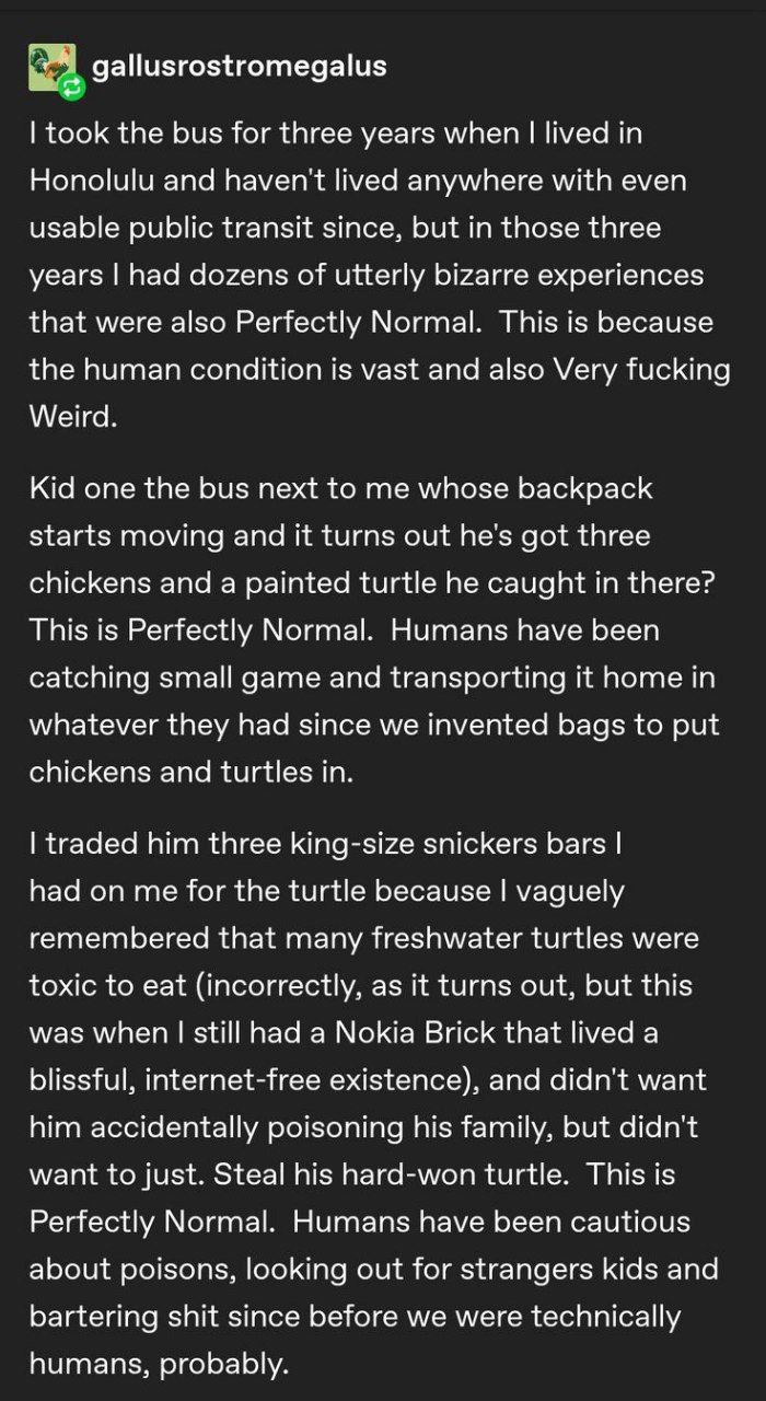 gallusrostromegalus took the bus for three years when lived in Honolulu and haven't lived anywhere with even usable public transit since, but in those three years had dozens of utterly bizarre experie