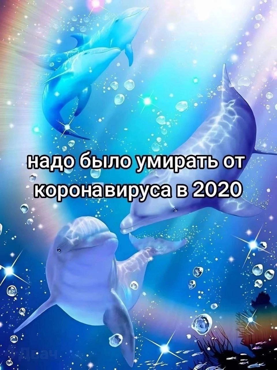 $1 Надо было умирать от вируса В 9