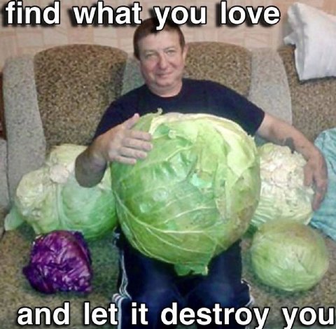 find what you love and let it destroy you