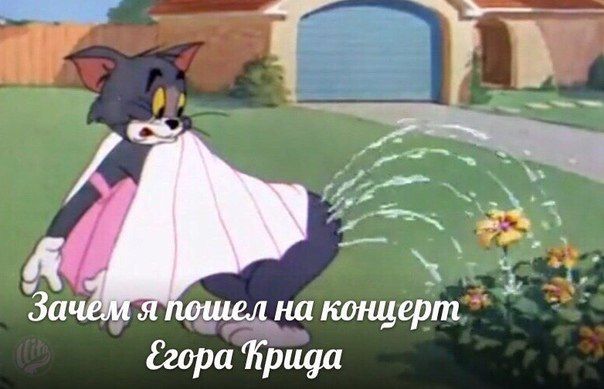 Зачем я пошел на концерт Ceopa Прида