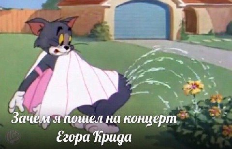 Зачем я пошел на концерт Ceopa Прида