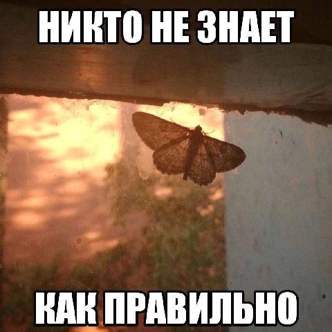 НИКТО НЕ ЗНАЕТ КАК ПРАВИЛЬНО