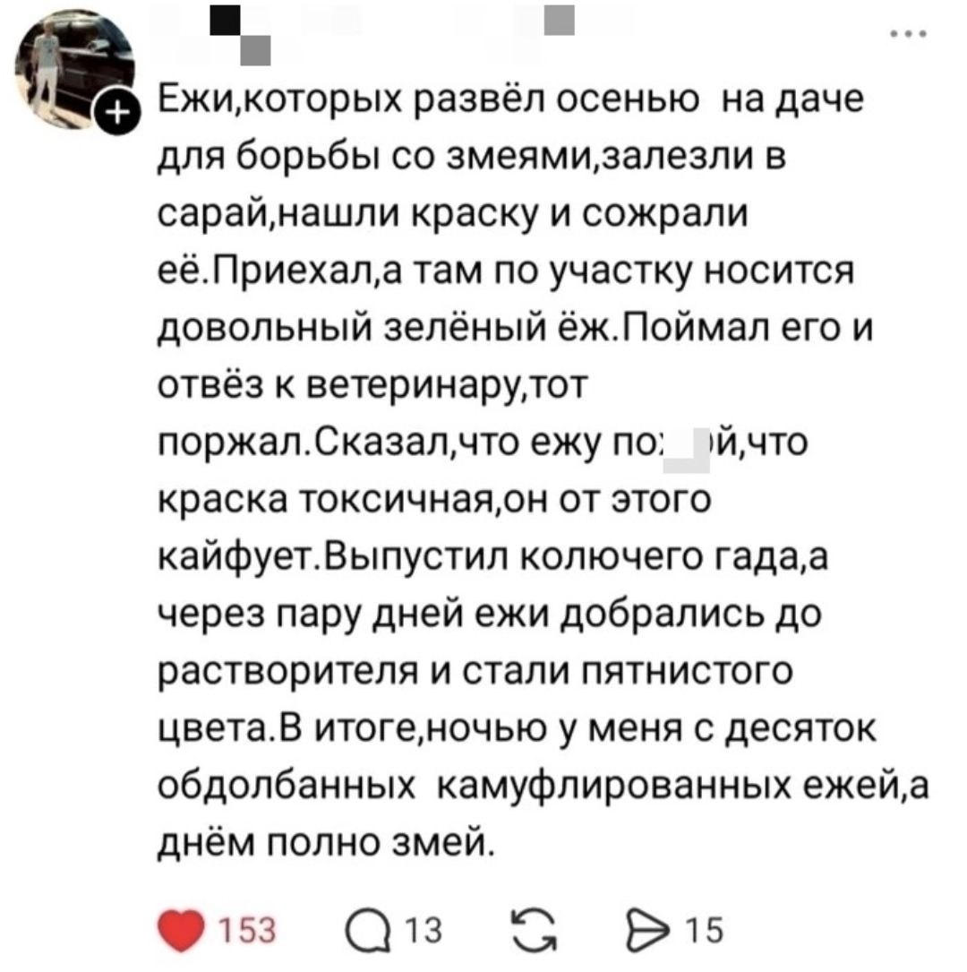 Ежи‚которых развёл осенью на даче для борьбы в краску и сожрали там по участку носится довольный зелёный ёж.Поймал его и отвёз к поржал.Сказал,что ежу по; краска токсичная,он от этого кайфует.Выпустил