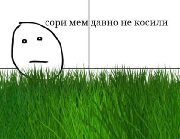 сори мем давно не косили