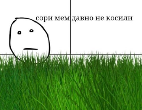 сори мем давно не косили