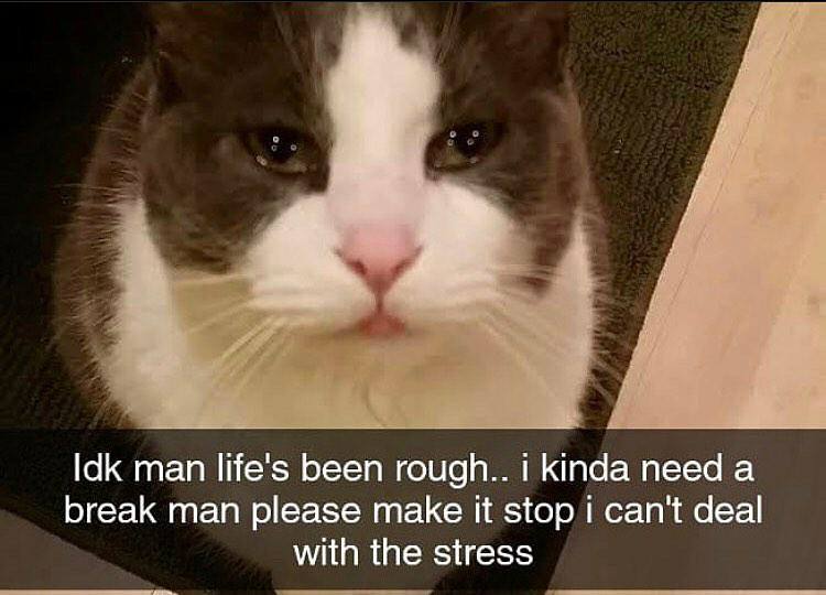 Idk man life's been rough.. i kinda need а break man please make it stop can't deal with the stress