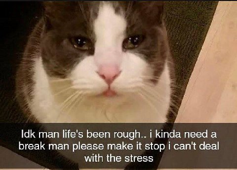 Idk man life's been rough.. i kinda need а break man please make it stop can't deal with the stress