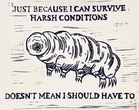 JUST BECAUSE 1 САМ SURVIVE CONDI И DOESN'T MEAN I SHOULD HAVE то.