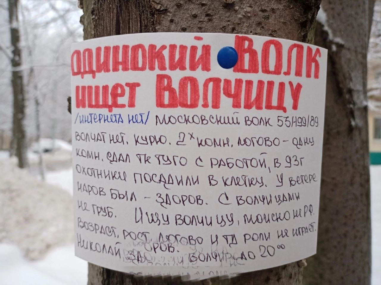 ищет BONK 559/89 2* В 931 ПОС РОМ