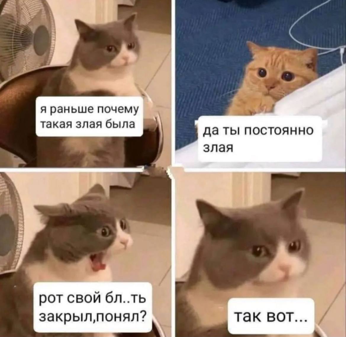 я раньше почему такая злая была да ты постоянно 7 злая рот свой бл..ть так вот... и