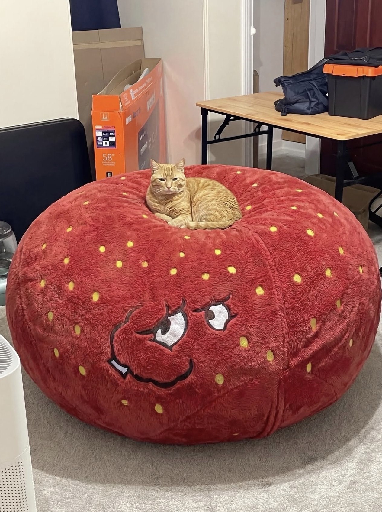 Gn