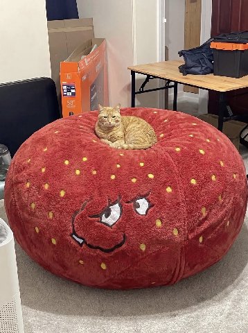 Gn