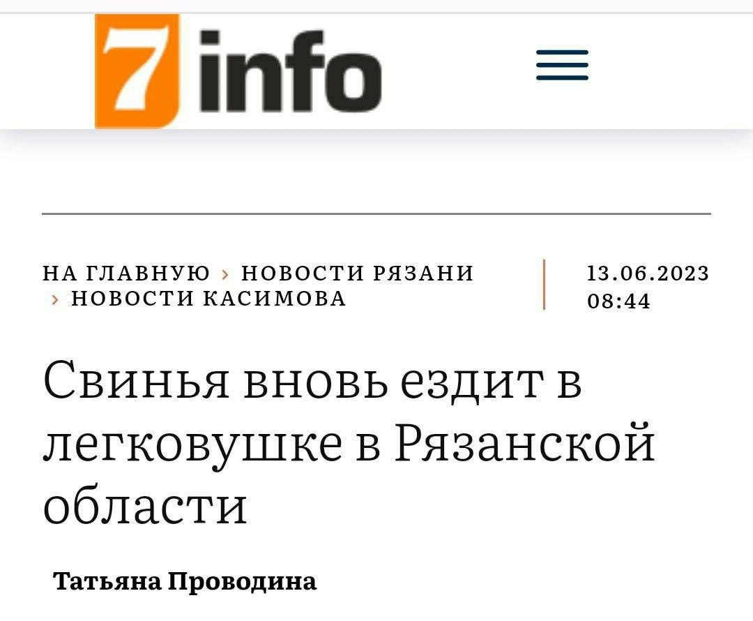info НА ГЛАВНУЮ НОВОСТИ РЯЗАНИ 13.06.2023 НОВОСТИ КАСИМОВА 08:44 Свинья вновьездит в легковушке в Рязанской области Татьяна Проводина