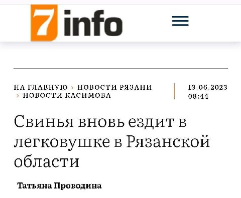 info НА ГЛАВНУЮ НОВОСТИ РЯЗАНИ 13.06.2023 НОВОСТИ КАСИМОВА 08:44 Свинья вновьездит в легковушке в Рязанской области Татьяна Проводина