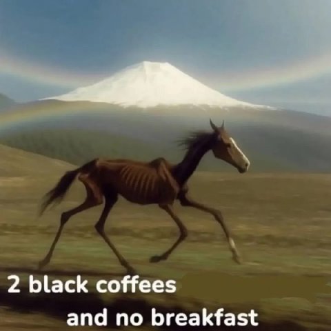 2 black coffees and no breakfast