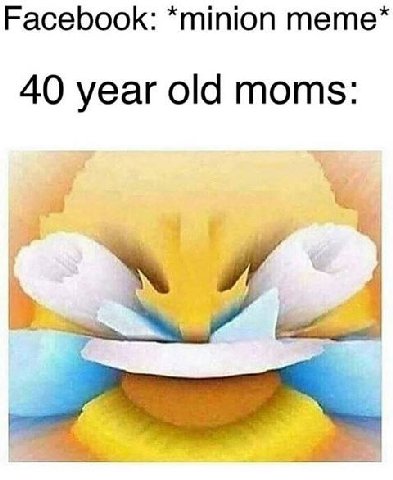 Facebook: *minion тете* 40 year old moms: