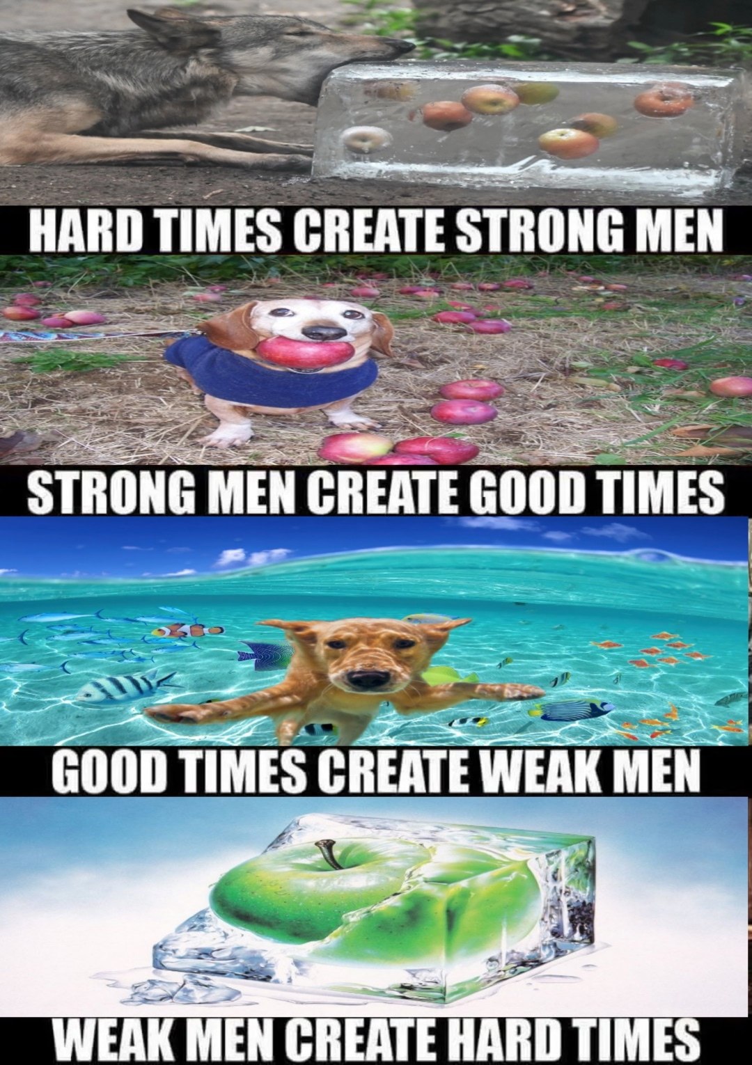 HARD TIMES CREATE STRONG MEN STRONG MEN CREATE GOOD TIMES GOOD TIMES CREATE WEAK MEN 7 WEAK MEN CREATE HARD TIMES