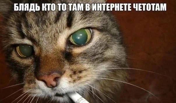 БЛЯДЬ КТО ТО ТАМ В ИНТЕРНЕТЕ ЧЕТОТАМ