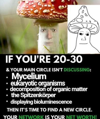у IF YOU'RE 20-30 YOUR MAIN CIRCLE ISN'T DISCUSSING: Mycelium the Spitzenkorper displaying bioluminescence THEN IT'S TIME TO FIND A NEW CIRCLE. YOUR NETWORK IS YOUR NET WORTH!