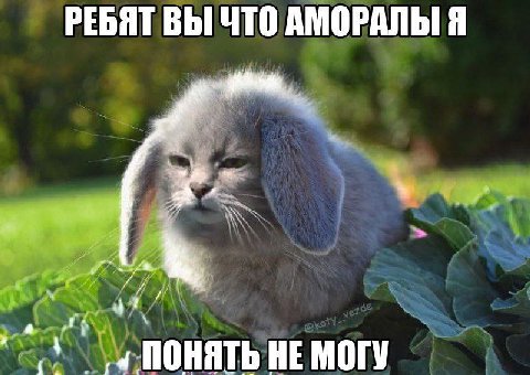 РЕБЯТ ВЫ ЧТО АМОРАЛЫ Я а ПОНЯТЬ НЕ МОГУ