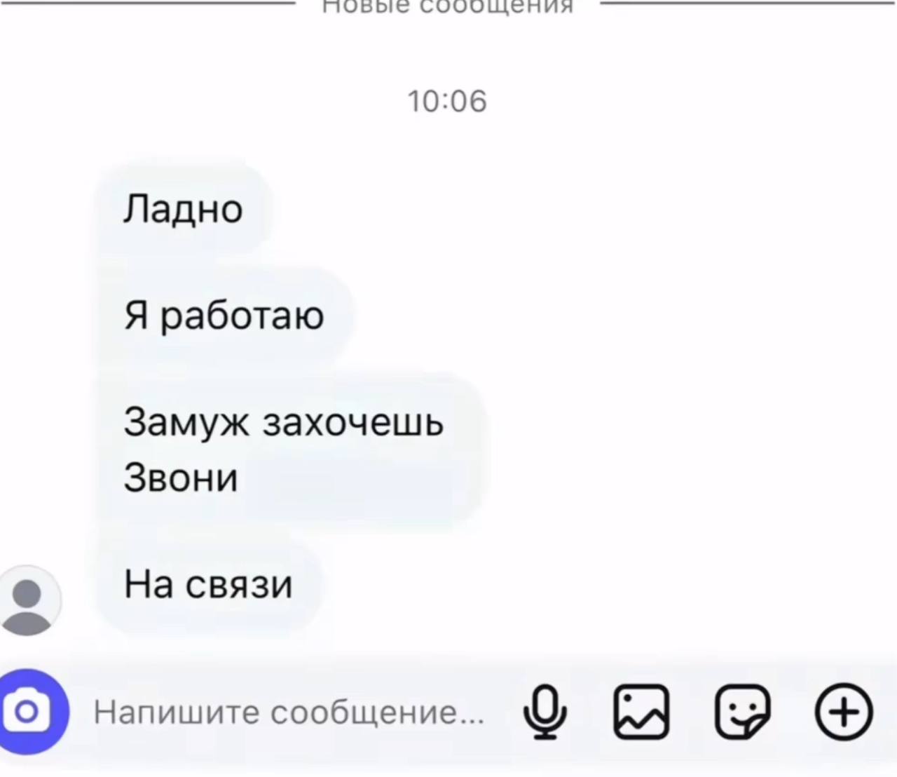 10:06 Ладно Я работаю Замуж захочешь Звони На связи Напишите сообщение...