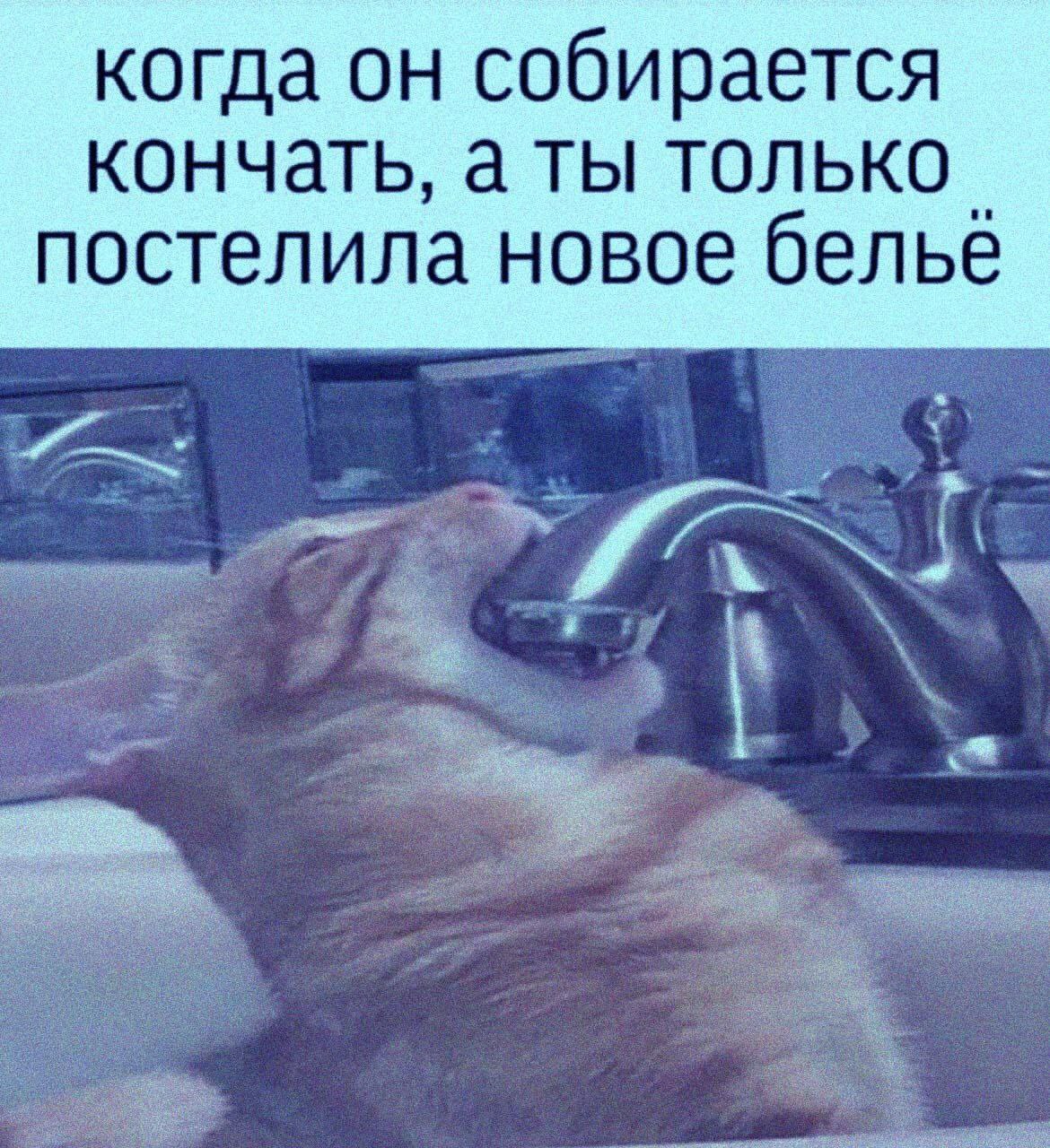 когда он собирается кончать, а ты только постелила новое белье