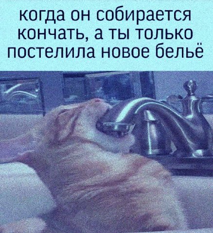 когда он собирается кончать, а ты только постелила новое белье