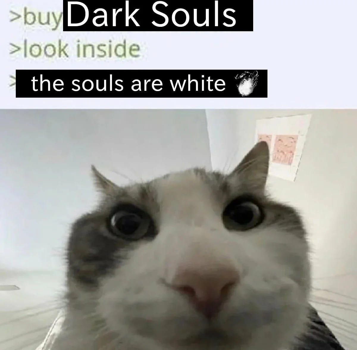 Dark Souls inside the souls are white