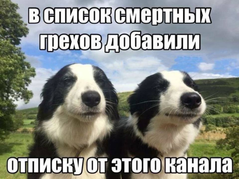 смертных "грехов, отпискуот этого канала