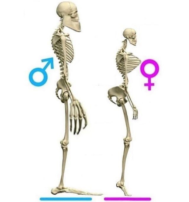 6: