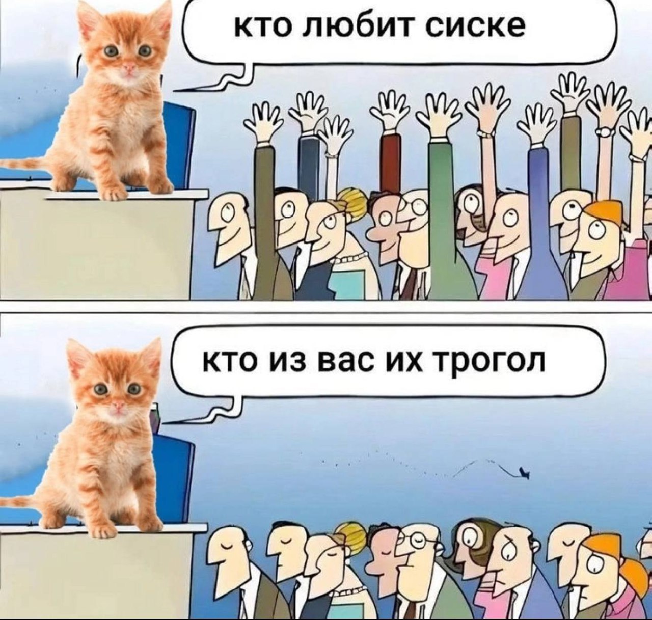 кто любит сиске
