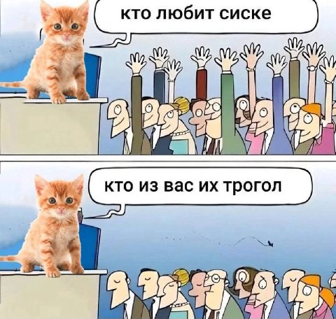 кто любит сиске