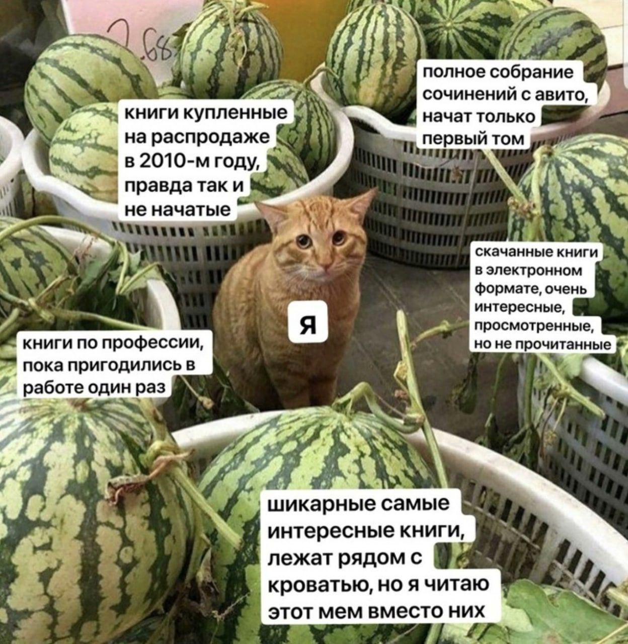 полное собрание сочинении с авито, книги купленные начат только на распродаже первый том в году, правда так и не начатые скачанные книги в электронном формате, очень “к интересные просмотренные книги 