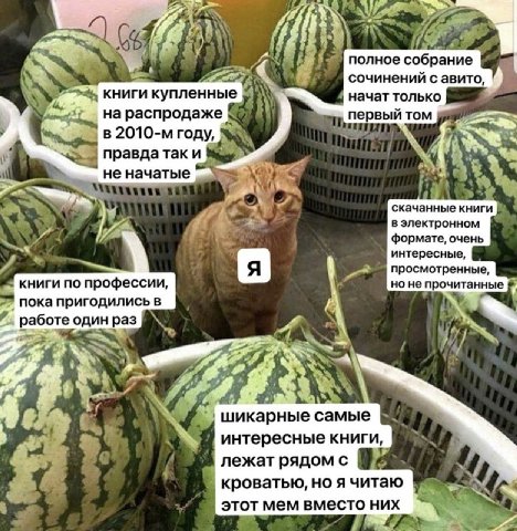 полное собрание сочинении с авито, книги купленные начат только на распродаже первый том в году, правда так и не начатые скачанные книги в электронном формате, очень “к интересные просмотренные книги 