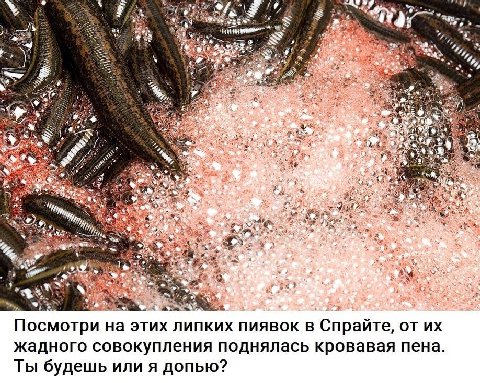 1% 17) 7 ЗА ж 9 13 на этих липких пиявок в Спрайте, жадного совокупления поднялась кровавая пена Ты будешь или я допью?
