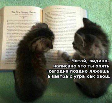Читай, видишь написано что ты опять сегодня поздно ляжешь а завтра утра как овощ