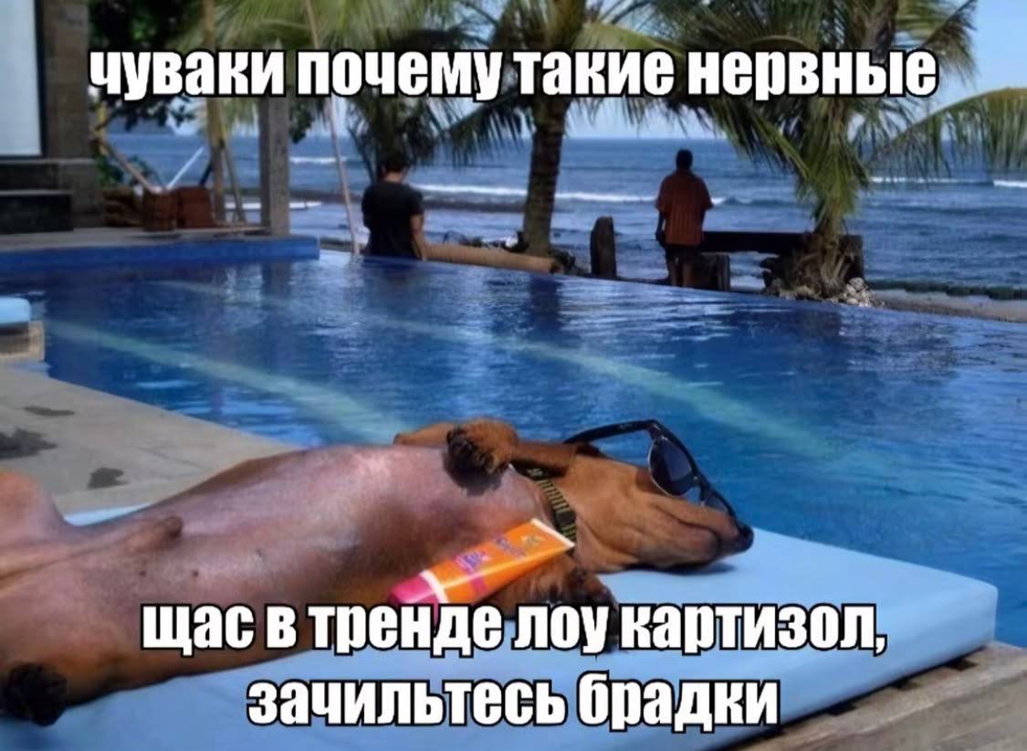 чуваки почему такие нервные, щас в тренде лоу картизол, зачильтесь брадки