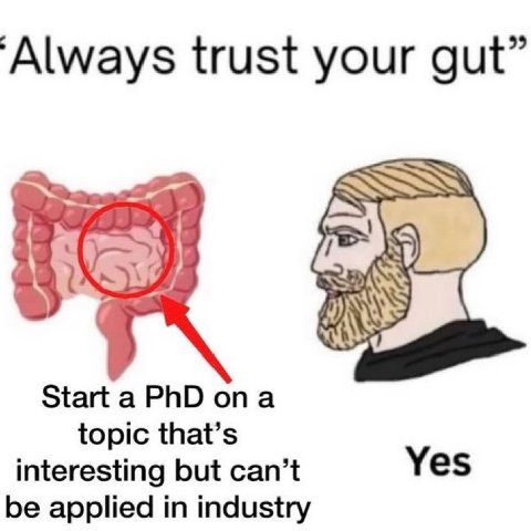 💯💯💯💯💯