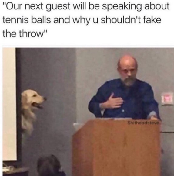 "Our next guest will be speaking about tennis balls and why shouldn't fake the throw"