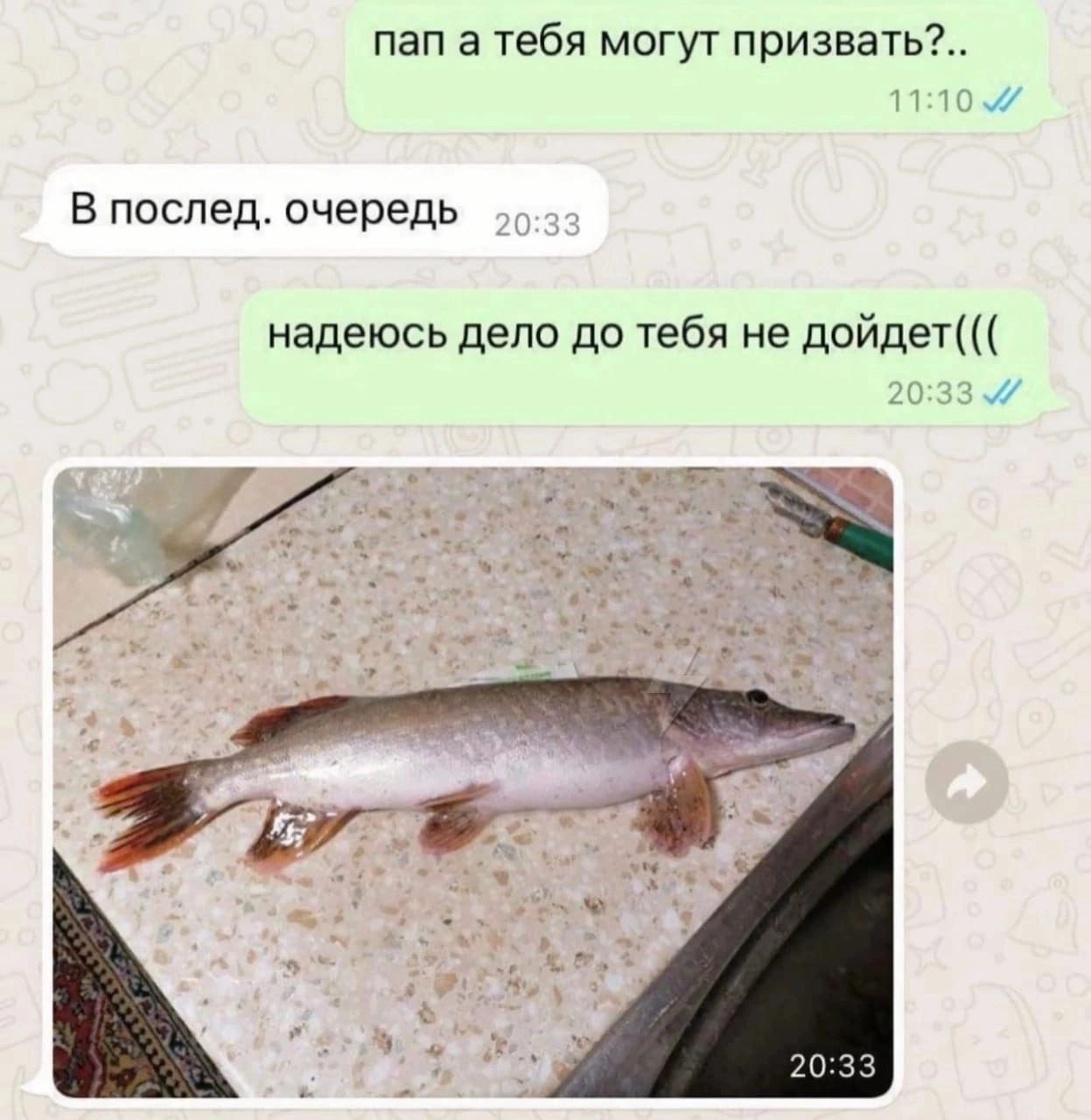 пап а тебя могут призвать?.. 11 В послед. очередь надеюсь дело до тебя не дойдет(((
