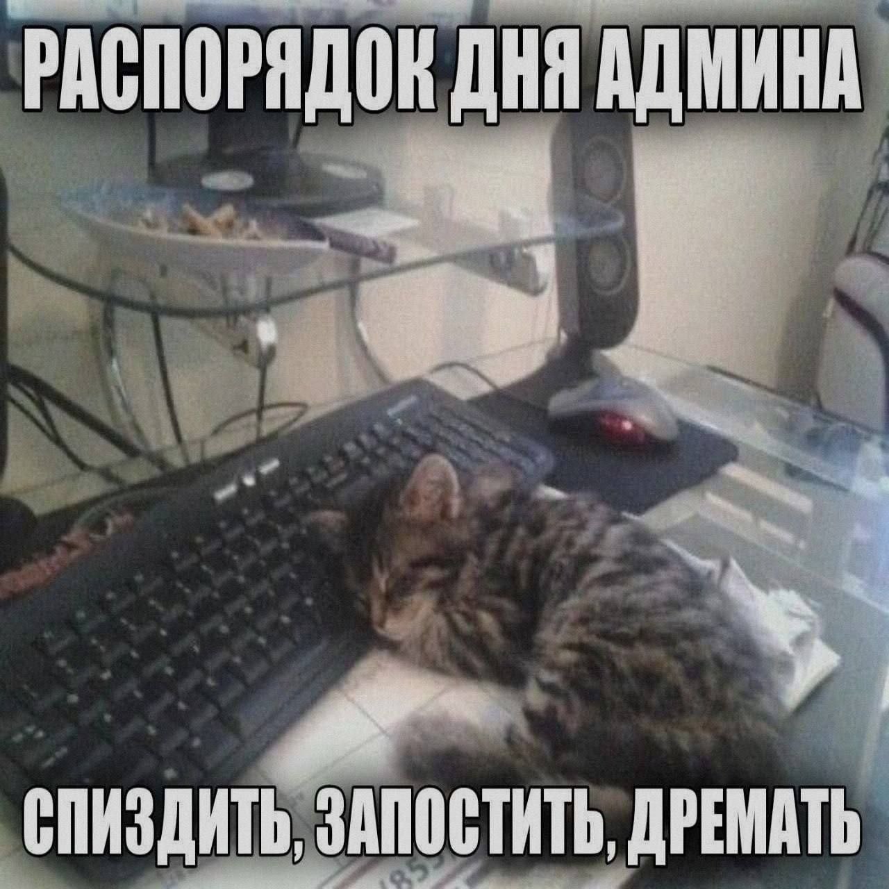 РАСПОРЯДОК ДНЯ АДМИНА СПИЗДИТЬ, ЗАПОСТИТЬ, ДРЕМАТЬ