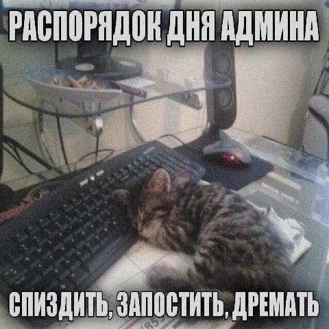 РАСПОРЯДОК ДНЯ АДМИНА СПИЗДИТЬ, ЗАПОСТИТЬ, ДРЕМАТЬ