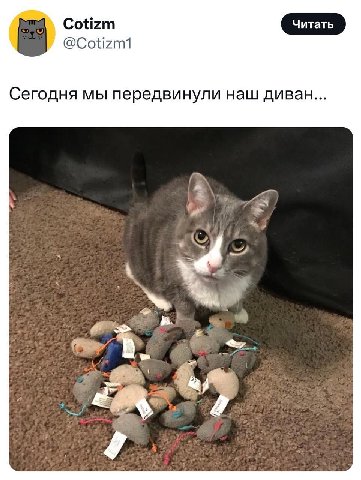 Cotizm @Cotizm1 Сегодня мы передвинули наш диван...