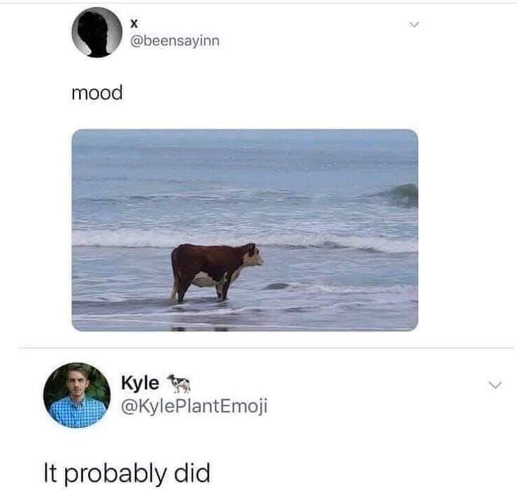 @beensayinn mood Kyle @KylePlantEmoji It probably did