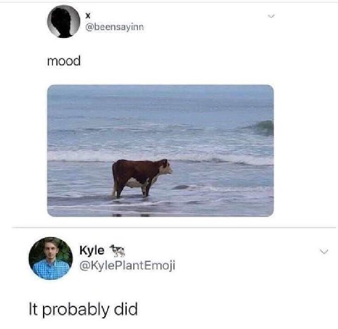 @beensayinn mood Kyle @KylePlantEmoji It probably did