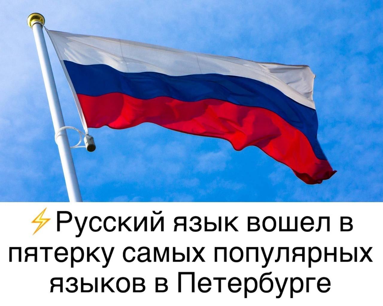 Русский язык вошел в пятерку самых популярных языков в Петербурге