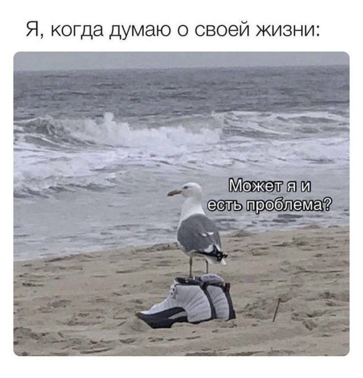 Я, когда думаю о своей жизни: Может И