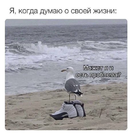 Я, когда думаю о своей жизни: Может И