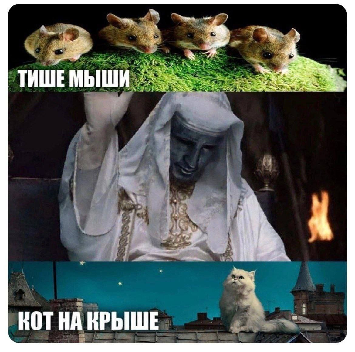 2 ТИШЕМЫШИ 4 KOT КРЫШЕ