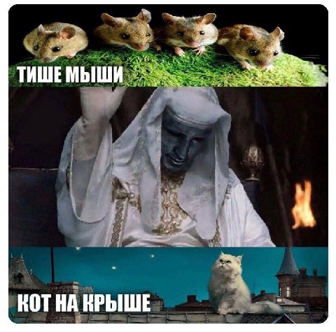 2 ТИШЕМЫШИ 4 KOT КРЫШЕ